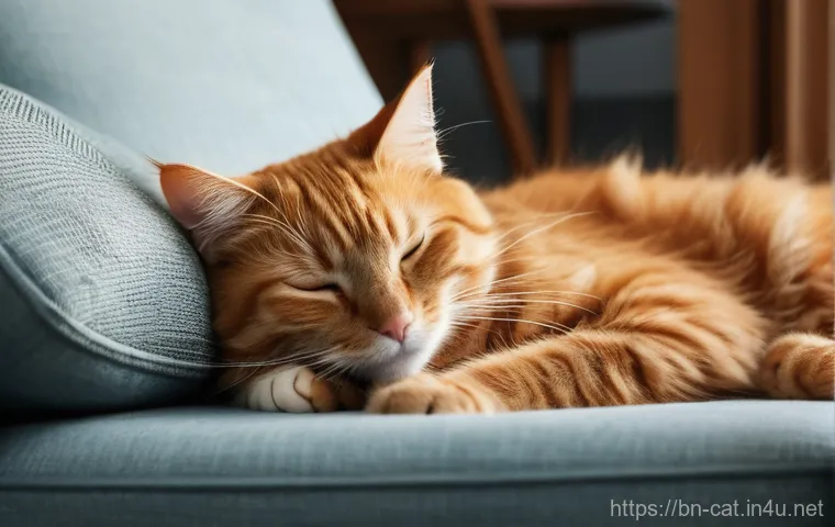 고양이 언어 이해하기 - **Prompt:** "A domestic short-haired cat (e.g., a black or calico cat) is displaying signs of fear a...