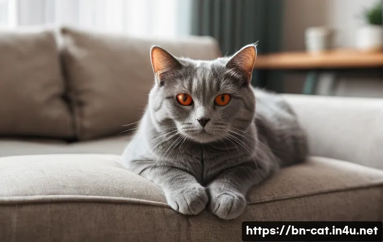 고양이 알레르기 증상 - **Prompt 1: Mild Cat Allergy Symptoms in a Cozy Home**
    A close-up of a young adult, gender-neutr...